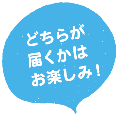 どちらが届くかはお楽しみに！