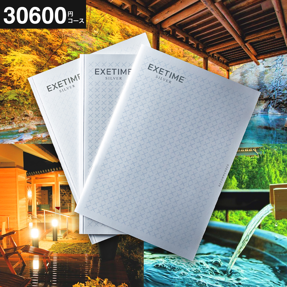 カタログギフト EXETIME（エグゼタイム） SILVER 送料無料 旅行 旅行券 体験版