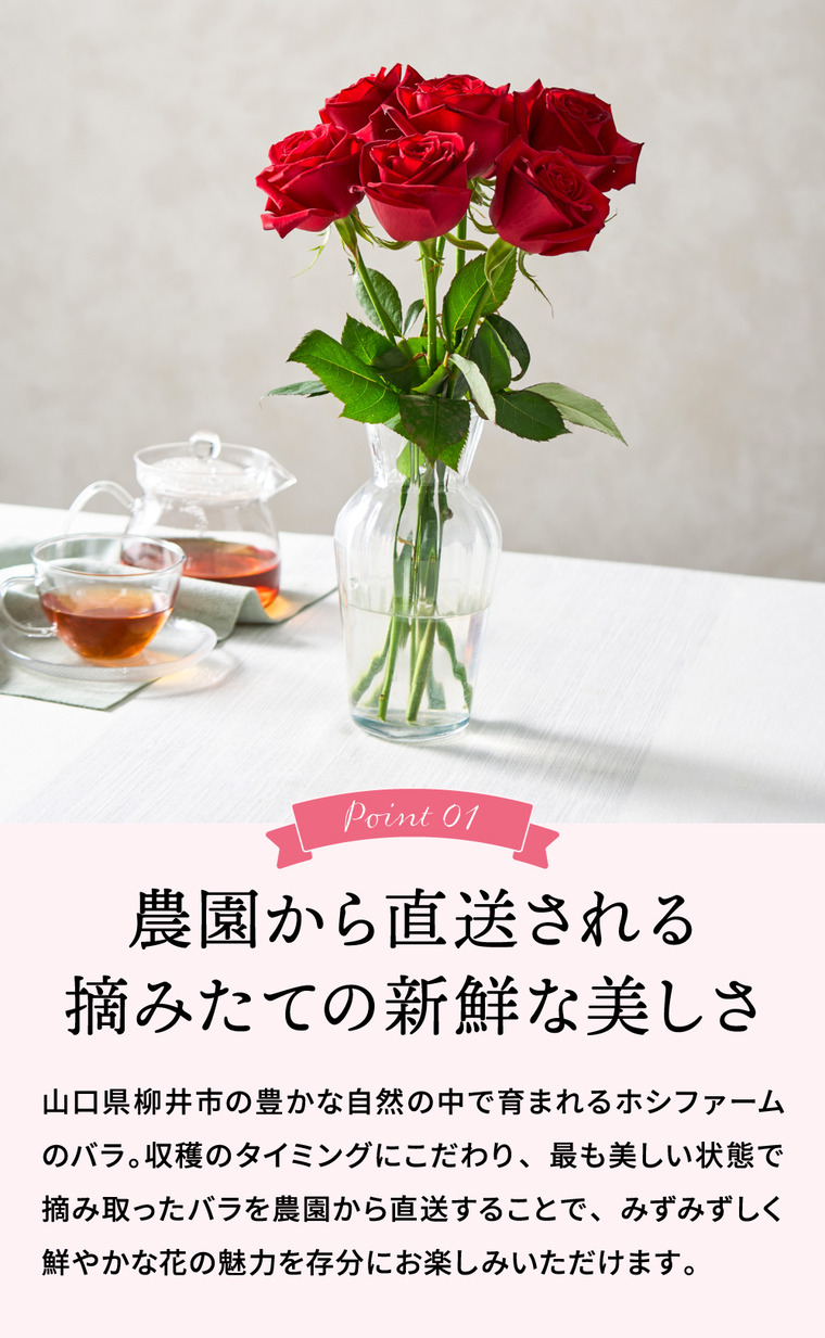 選べるバラのカタログギフト ホシファーム ローゼット メール便