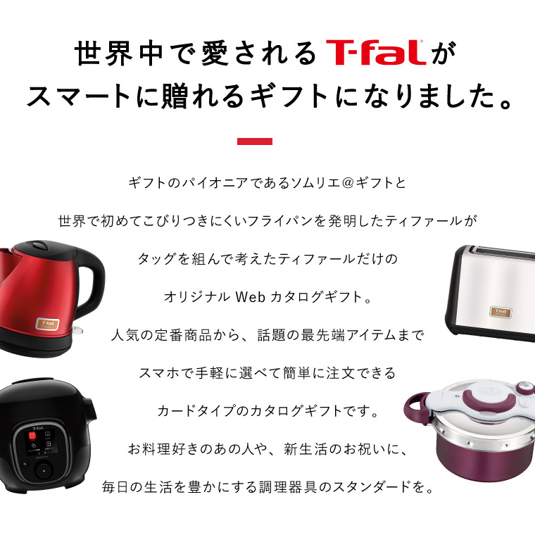 ティファール カードタイプ T-fal vol.3