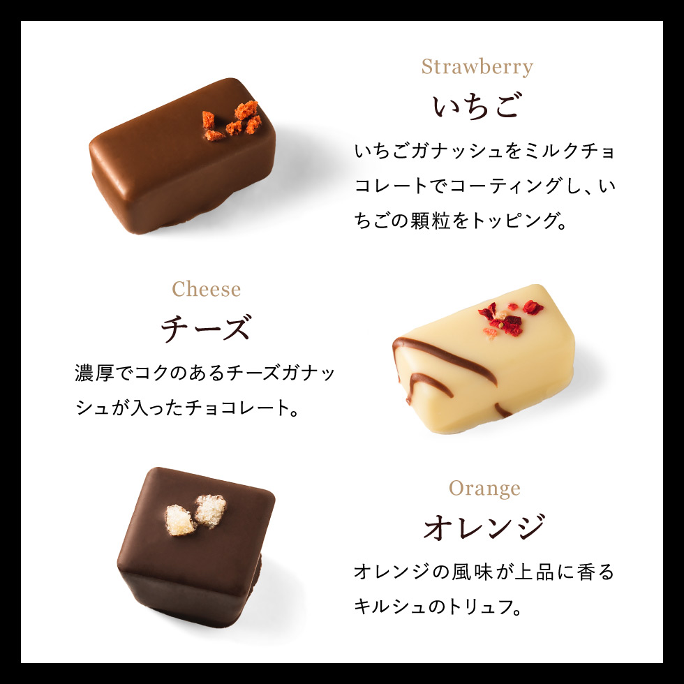 ホテルオークラ スペシャルショコラ （9個） チョコレート のし包装メッセージカード不可 C-24 KD
