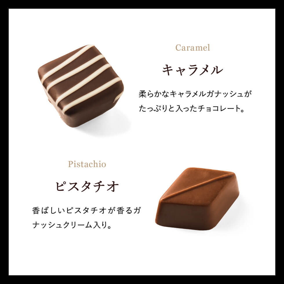 ホテルオークラ スペシャルショコラ （12個） チョコレート のし包装メッセージカード不可 C-24 KE