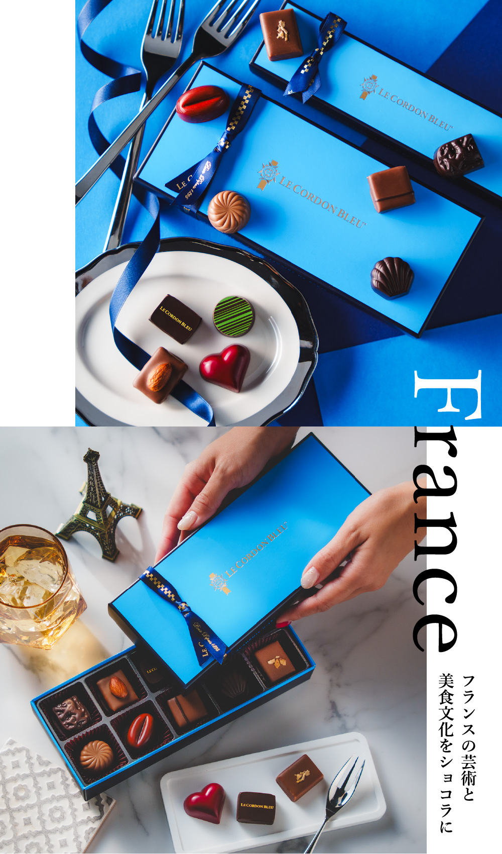 ル・コルドン・ブルー ショコラ・デコール10 C-26 HB / のし包装メッセージカード不可 LE CORDON BLEU ボンボンショコラ バレンタインチョコ チョコレート スイーツ おしゃれ ブランドチョコ 手土産 JGS バレンタイン 2026 バレンタインデー バレンタインギフト2026