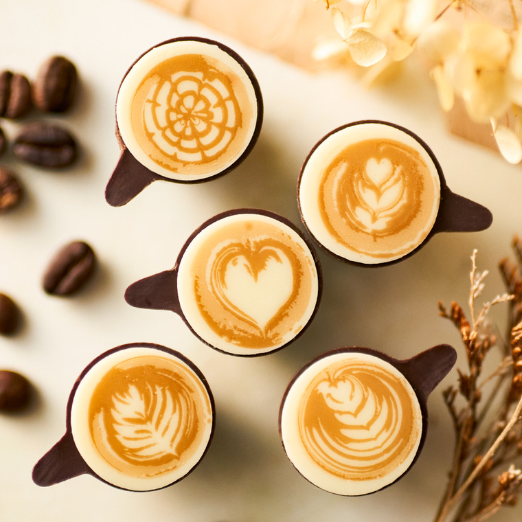 クルイゼル カプチーノ 5個 チョコレート のし包装メッセージカード不可 C-25 FE