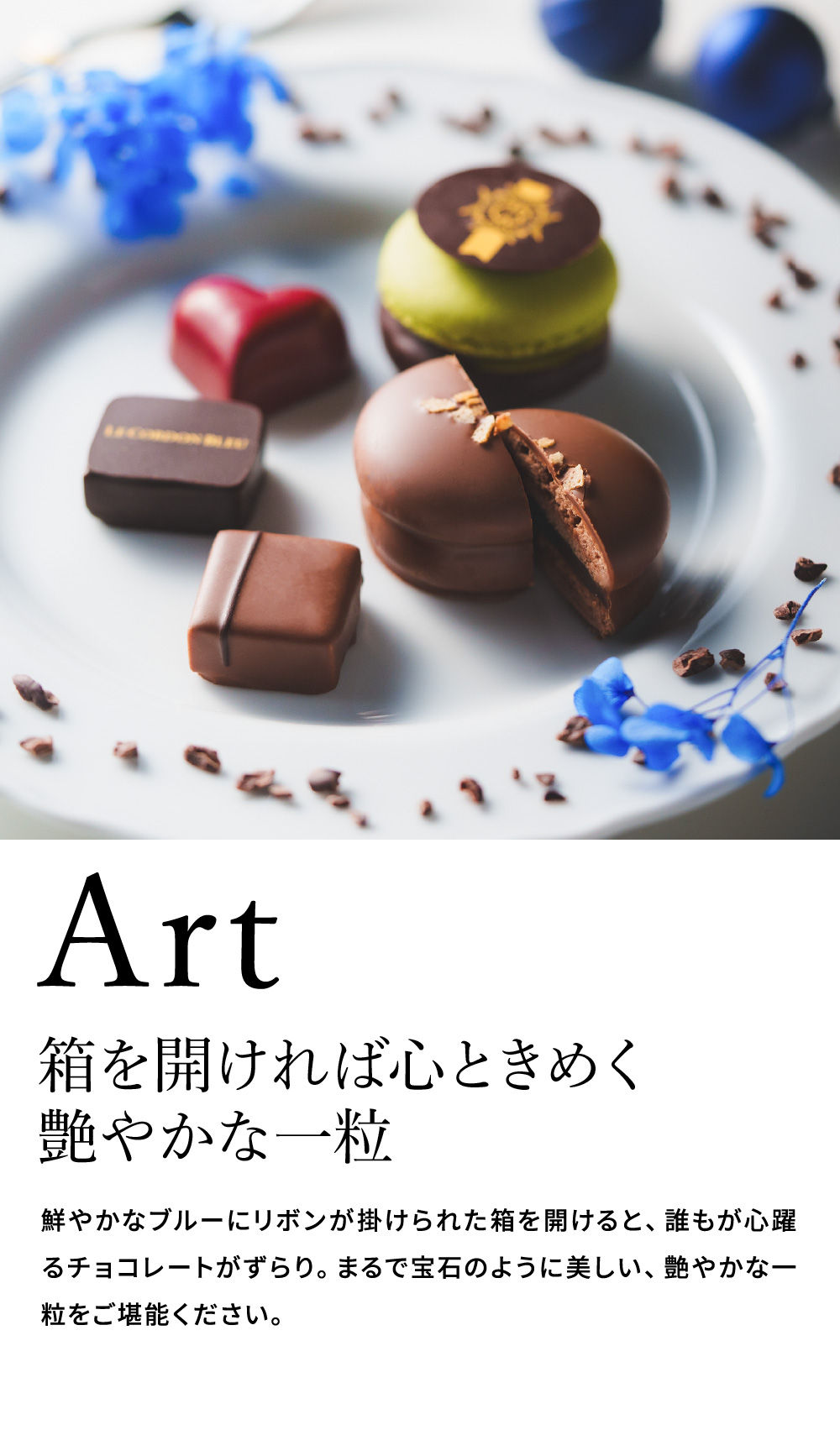 ル・コルドン・ブルー ショコラ・デコール10 C-26 HB / のし包装メッセージカード不可 LE CORDON BLEU ボンボンショコラ バレンタインチョコ チョコレート スイーツ おしゃれ ブランドチョコ 手土産 JGS バレンタイン 2026 バレンタインデー バレンタインギフト2026