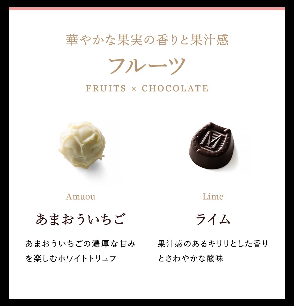 モロゾフ プレミアムチョコレートセレクション 10個 C-25 BA