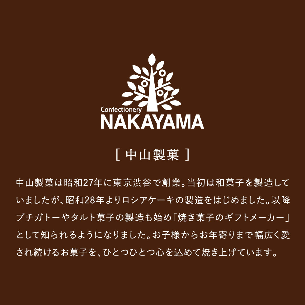 送料無料 カフェスマイルセット 34個 賞味期限2024/5/24 中山製菓 ロシアケーキ