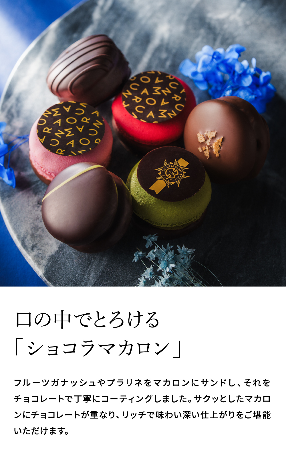 ル・コルドン・ブルー ショコラマカロン6 C-26 HC  / バレンタイン のし包装メッセージカード不可 LE CORDON BLEU マカロン /