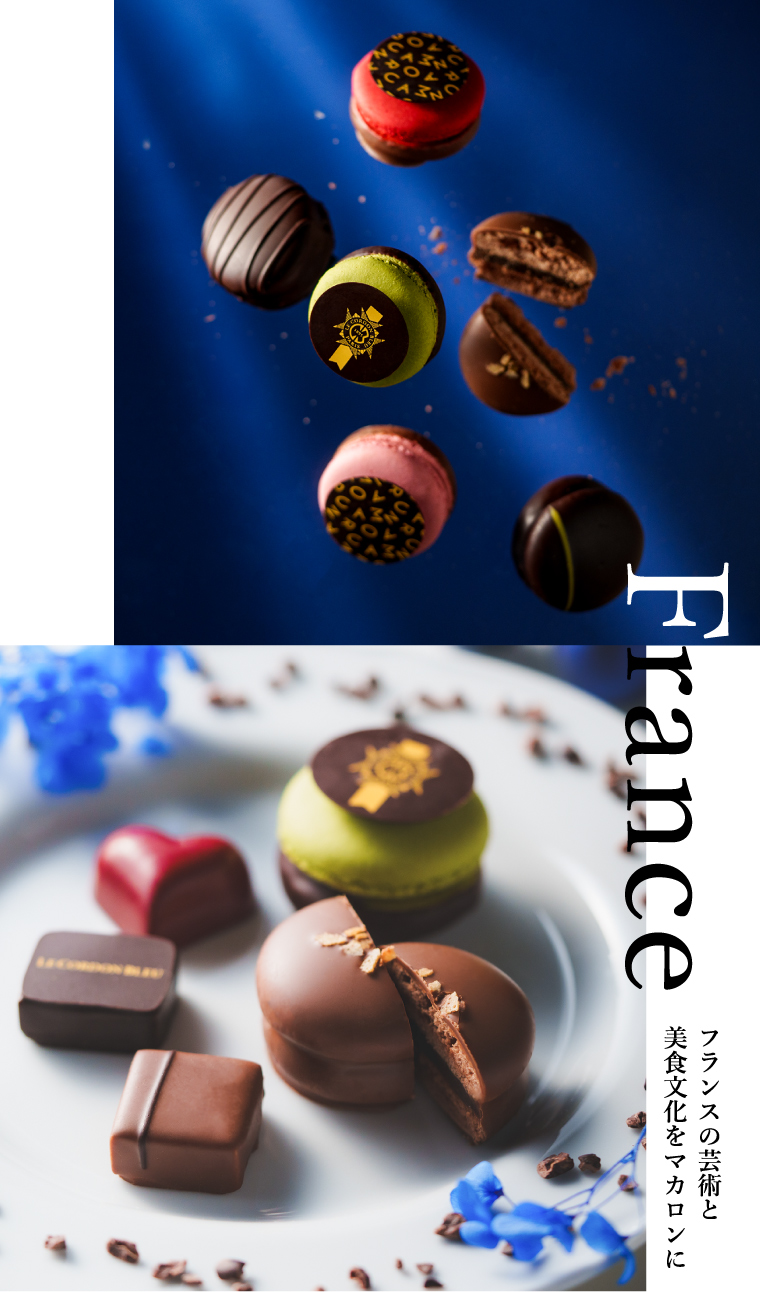 ル・コルドン・ブルー ショコラマカロン6 C-26 HC  / バレンタイン のし包装メッセージカード不可 LE CORDON BLEU マカロン /