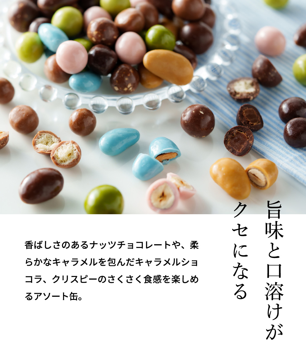 フランソワデュッセ メランジュドショコラ C-26 / バレンタイン のし包装メッセージカード不可 francois DOUCET