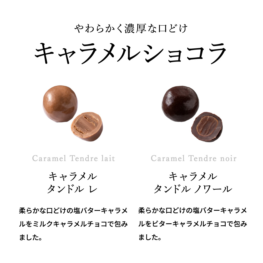 フランソワデュッセ メランジュドショコラ C-26 / バレンタイン のし包装メッセージカード不可 francois DOUCET