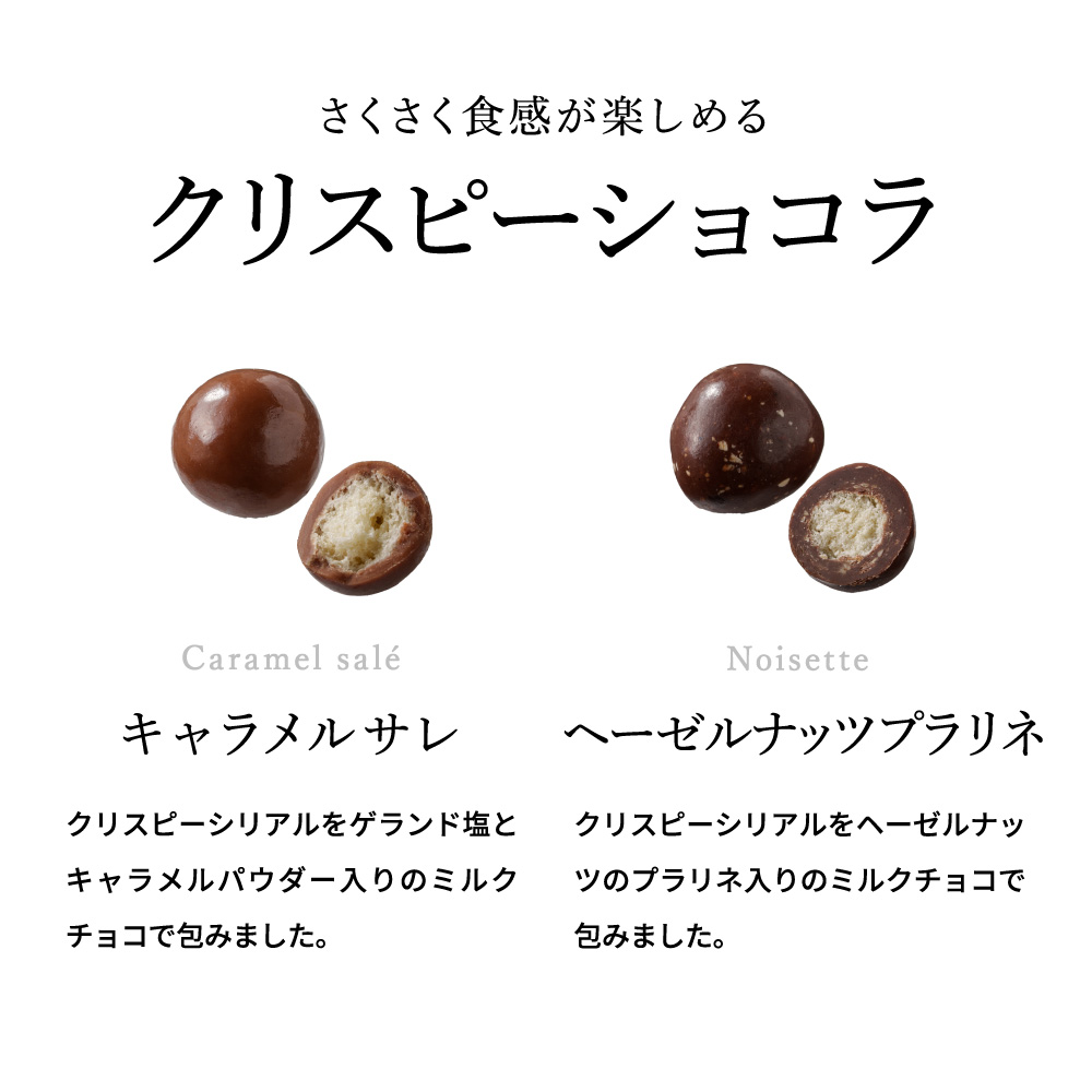 フランソワデュッセ メランジュドショコラ C-26 / バレンタイン のし包装メッセージカード不可 francois DOUCET