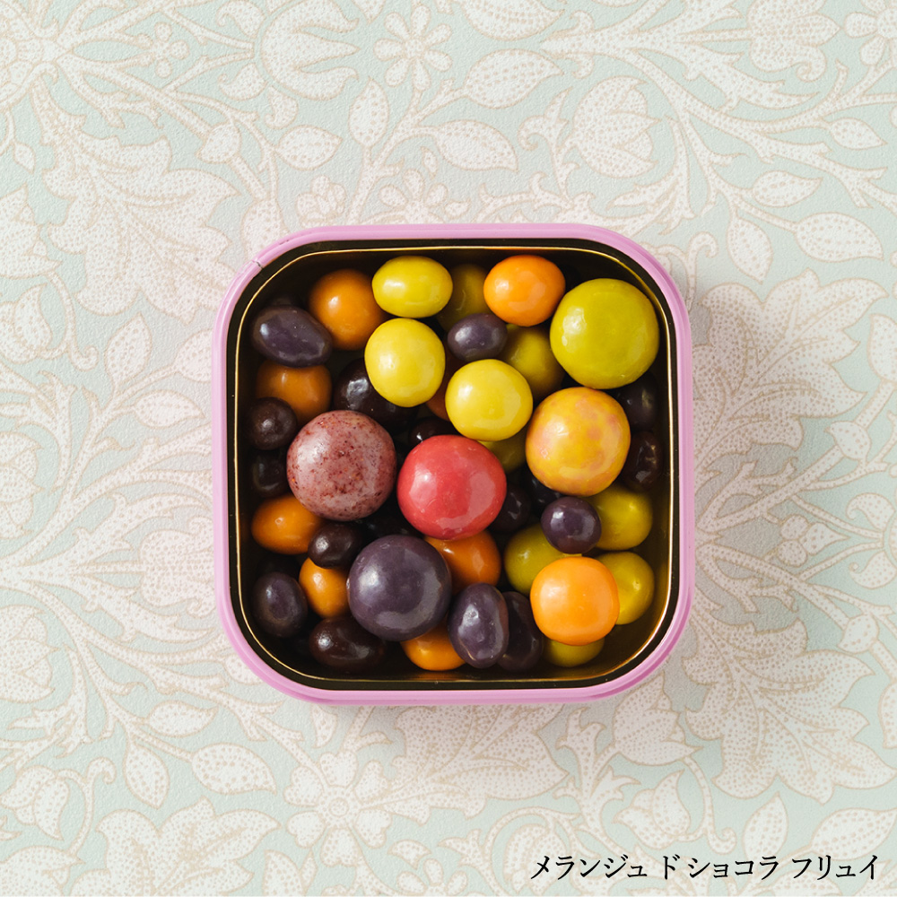 フランソワデュッセ メランジュドショコラ C-26 / バレンタイン のし包装メッセージカード不可 francois DOUCET