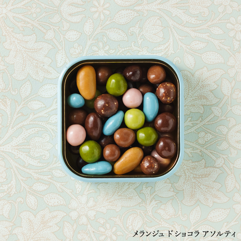 フランソワデュッセ メランジュドショコラ C-26 / バレンタイン のし包装メッセージカード不可 francois DOUCET