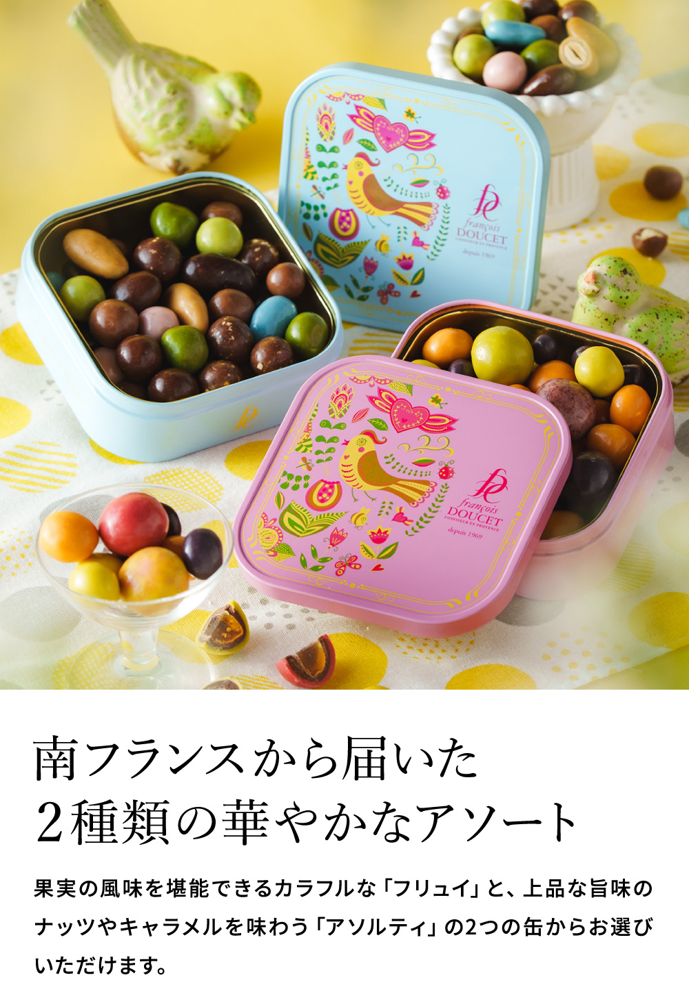 フランソワデュッセ メランジュドショコラ C-26 / バレンタイン のし包装メッセージカード不可 francois DOUCET