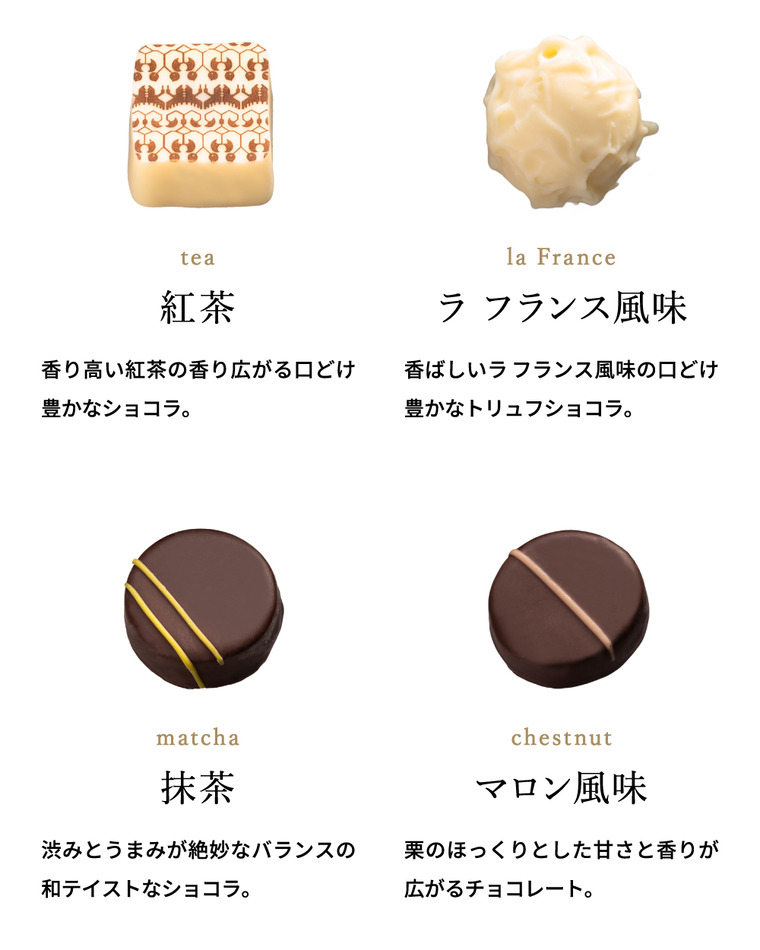 リーガロイヤルホテル シック・ショコラ チョコレート 11個 C-25 QE