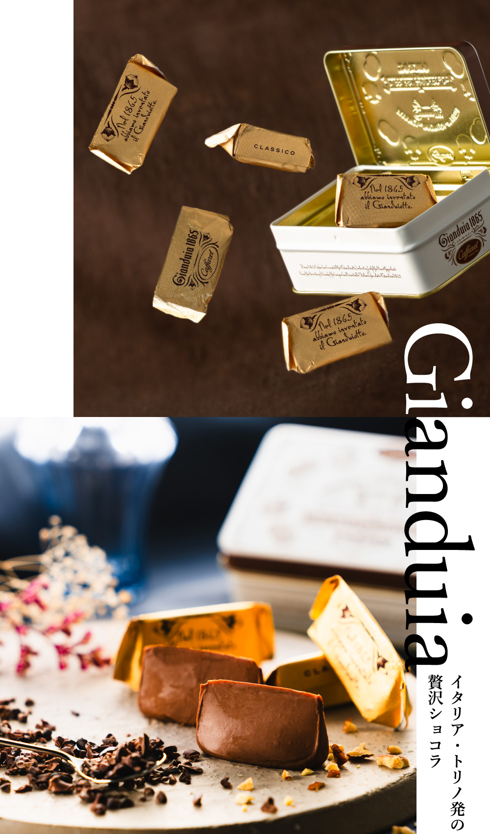 チョコレート カファレル ジャンドゥーヤ・クラシカ C-26 FF / バレンタイン のし包装メッセージカード不可