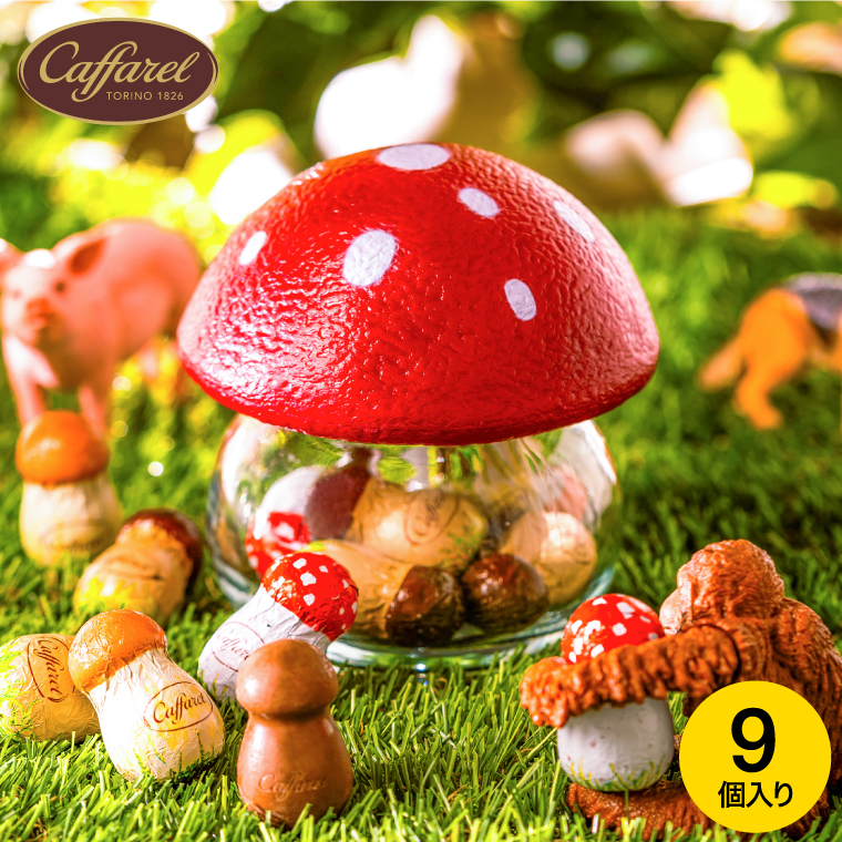 チョコレート カファレル きのこポット赤 C-26 FG / バレンタイン のし包装メッセージカード不可