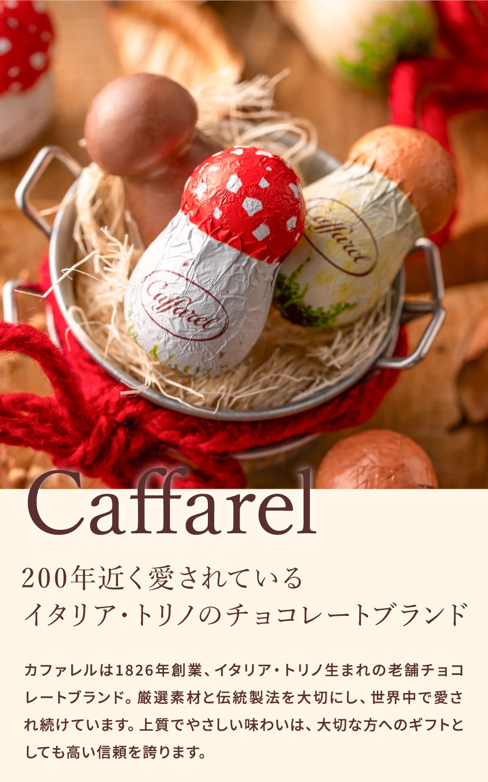 チョコレート カファレル きのこポット赤 C-26 FG / バレンタイン のし包装メッセージカード不可