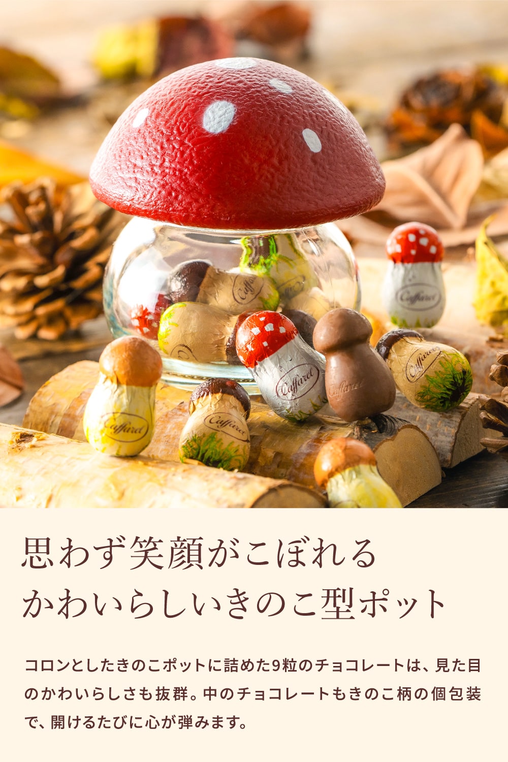 チョコレート カファレル きのこポット赤 C-26 FG / バレンタイン のし包装メッセージカード不可