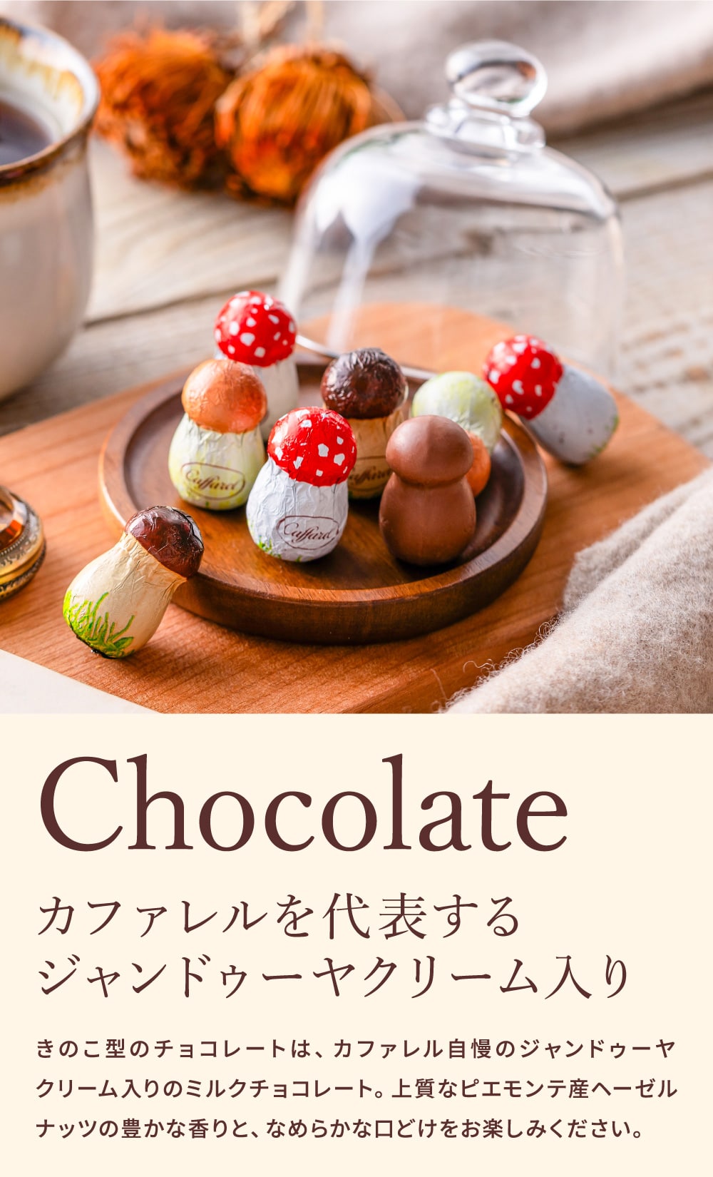 チョコレート カファレル きのこポット赤 C-26 FG / バレンタイン のし包装メッセージカード不可