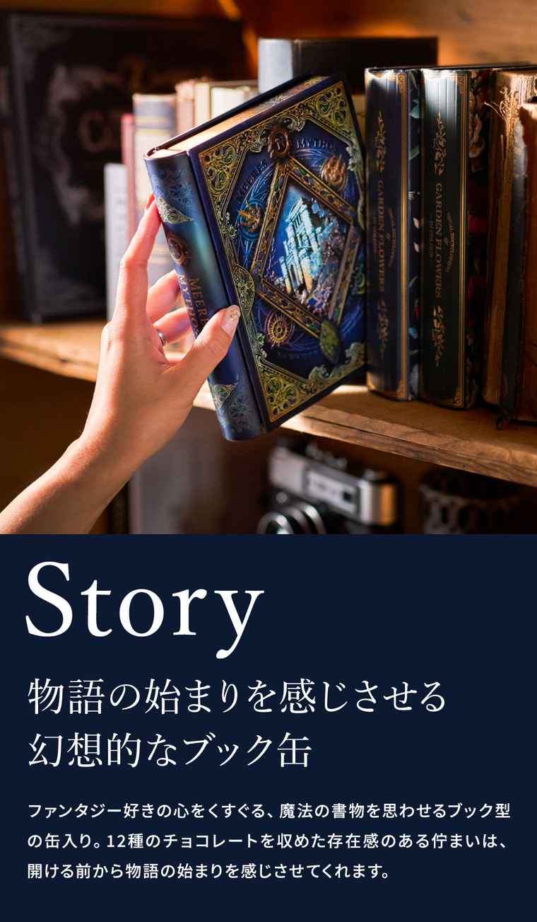高島屋 法人事業部 セレクト メリーチョコレート ナハトラビュリント メアレスミュートス(海の神話) C-26 RE / バレンタイン のし包装メッセージカード不可