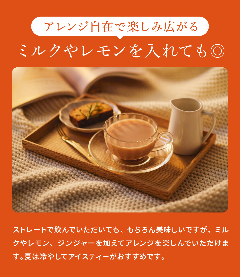 ラクシュミー 極上はちみつ紅茶ハニーフルーツティー25袋入り Lakshimi 紅茶 蜂蜜 ハニー ラクシュミーはちみつ紅茶 ティーパック