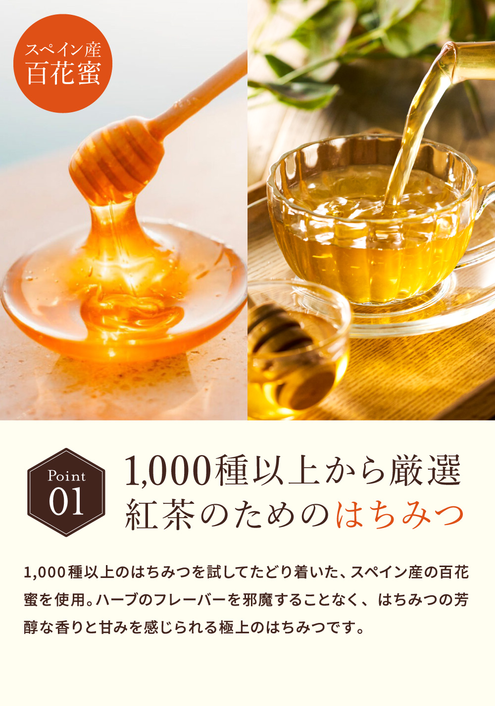 ラクシュミー 極上はちみつ入りミントティー25袋入り Lakshimi 紅茶 蜂蜜 ハニー ラクシュミーはちみつ紅茶 ティーパック