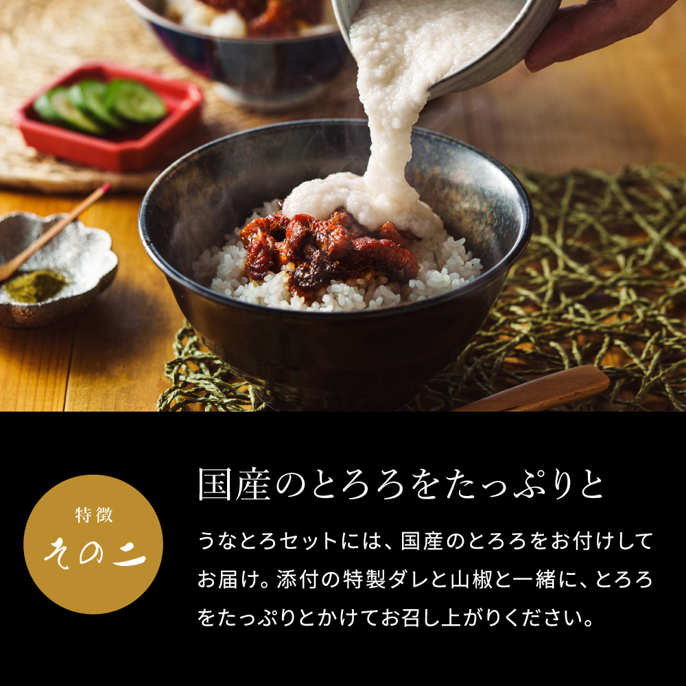 送料無料 グルメ 京料理六盛 国産うなとろセット 3人前 RM-UT3 メーカー直送 冷凍便