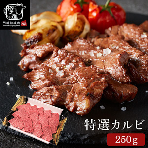 門崎熟成肉 特選カルビ（250g）（メーカー直送）（冷凍便）