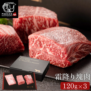 門崎熟成肉 塊焼き・塊肉（霜降り：120g×3個）&牛醤セット（メーカー直送）（冷凍便）