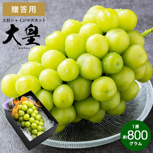 大皇（おおすめら）シャインマスカット 約800g （お届け：9月下旬以降）送料無料  / 期間限定| 『内祝い』『出産内祝い』