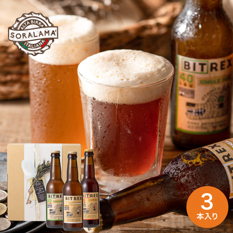 （酒類）イタリア クラフトビール Soralama IPA 3種飲み比べセット ソララマ（のし、包装、メッセージカード不可）