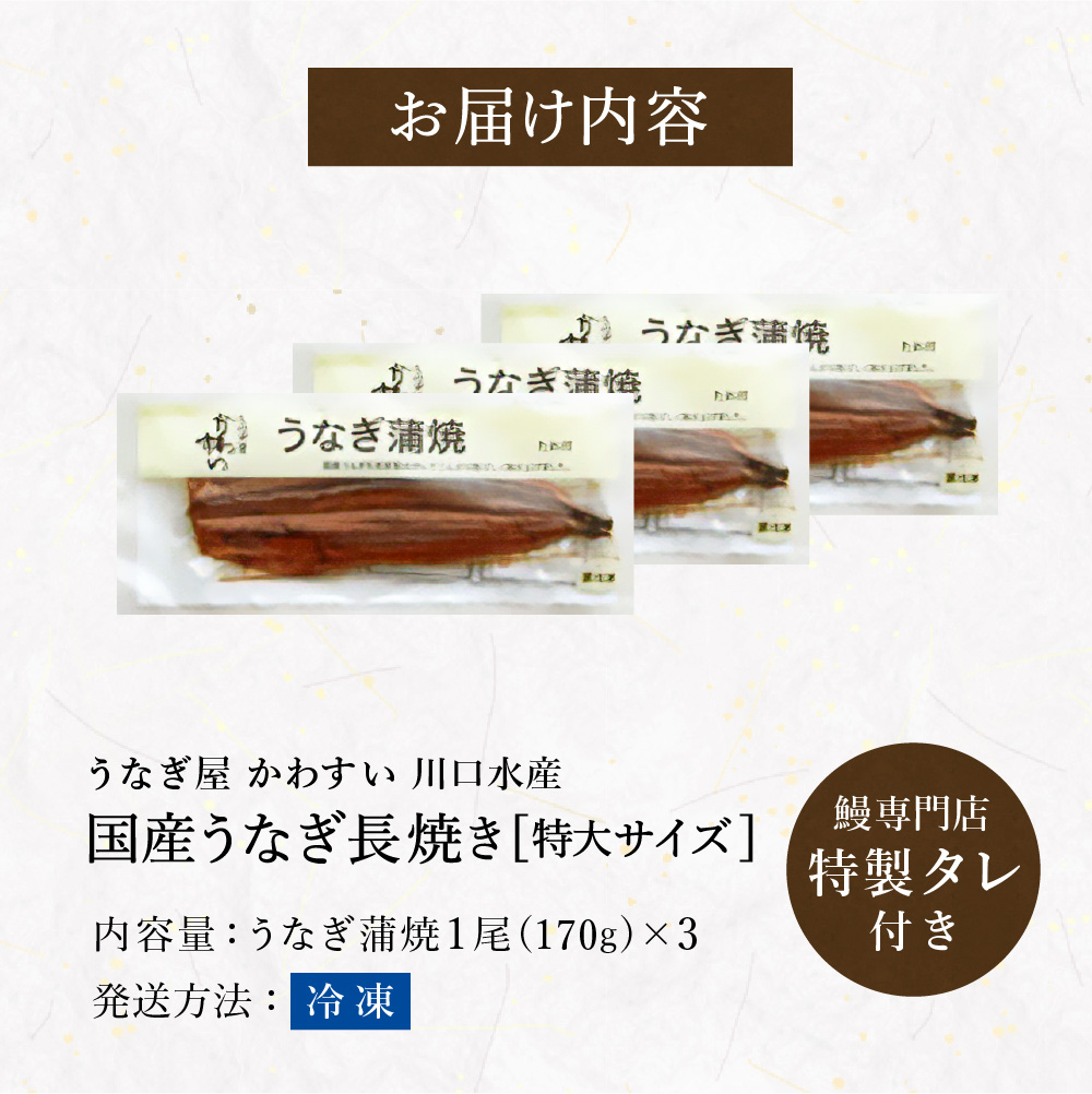 うなぎ 国産 うなぎ屋かわすい 国産うなぎ蒲焼長焼 特大 170g×3本セット メーカー直送 のし・包装紙・メッセージカード不可 冷凍便 JGS 送料無料 2026