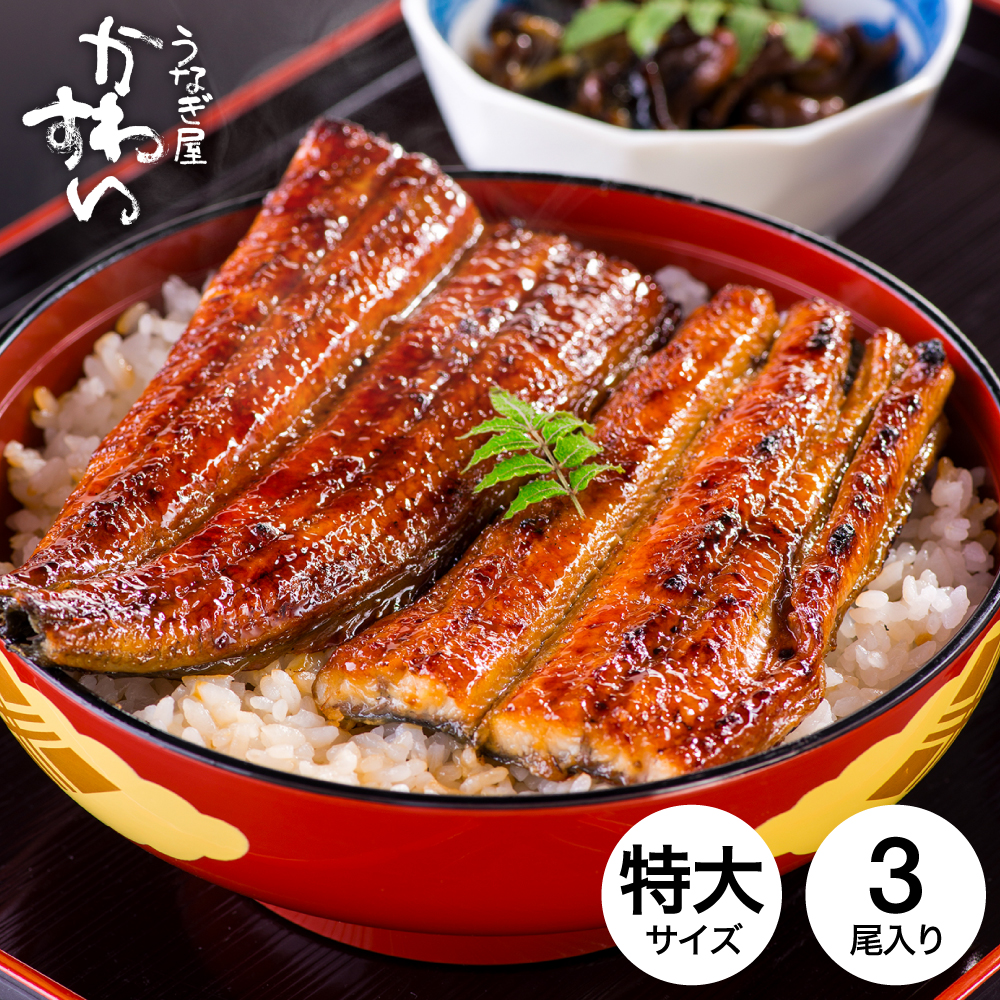 うなぎ 国産 うなぎ屋かわすい 国産うなぎ蒲焼長焼 特大 170g×3本セット メーカー直送 のし・包装紙・メッセージカード不可 冷凍便 JGS 送料無料 2026