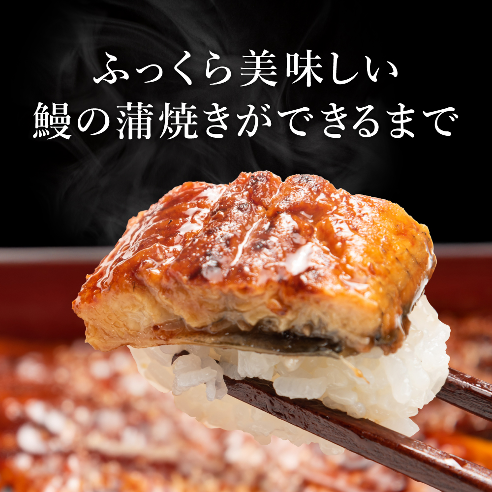 うなぎ 国産 うなぎ屋かわすい 国産うなぎ蒲焼長焼 大 150g×3本セット メーカー直送 のし・包装紙・メッセージカード不可 冷凍便 JGS 送料無料 2026