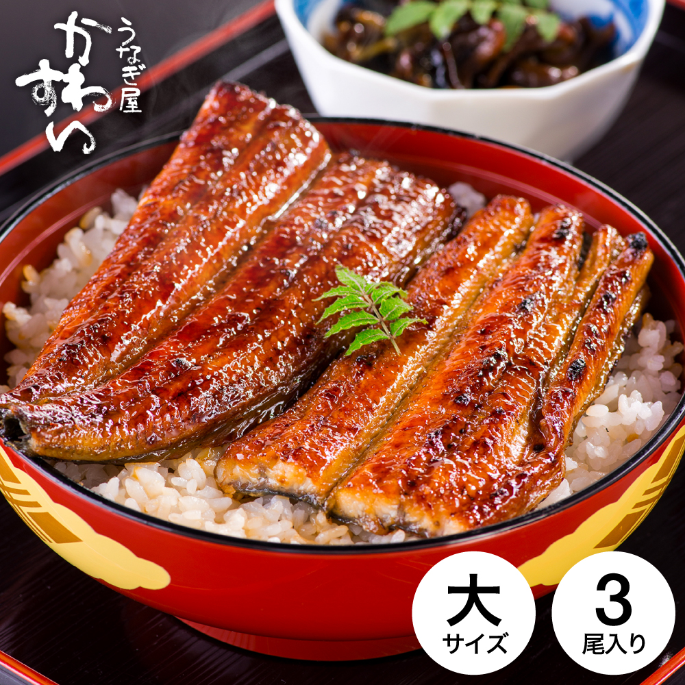 うなぎ 国産 うなぎ屋かわすい 国産うなぎ蒲焼長焼 大 150g×3本セット メーカー直送 のし・包装紙・メッセージカード不可 冷凍便 JGS 送料無料 2026