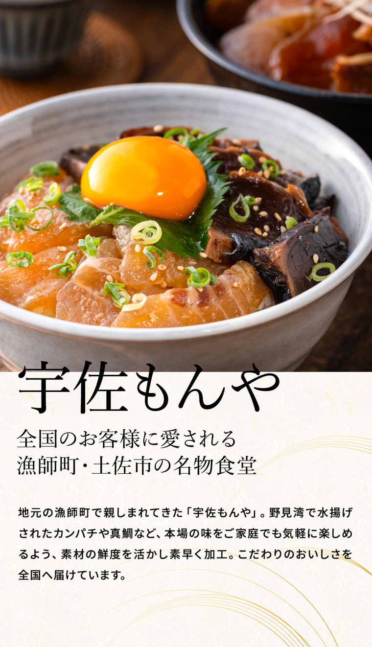 海鮮 高島屋 法人事業部 セレクト 宇佐もん工房 海鮮丼の素詰合せ メーカー直送