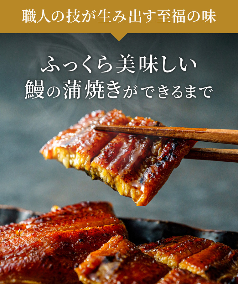酒類 選べるビールとうなぎ セット ゾウのマイ2本 家飲みセット ミニ 飲み比べ うなぎ屋かわすい のし包装メッセージカード不可 お酒 chotto BAR WAGAYA JGS 送料無料