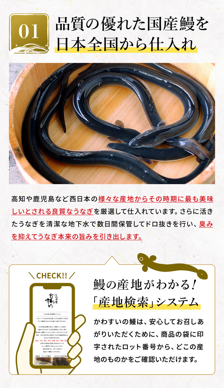 酒類 選べるビールとうなぎ セット ゾウのマイ2本 家飲みセット ミニ 飲み比べ うなぎ屋かわすい のし包装メッセージカード不可 お酒 chotto BAR WAGAYA JGS 送料無料