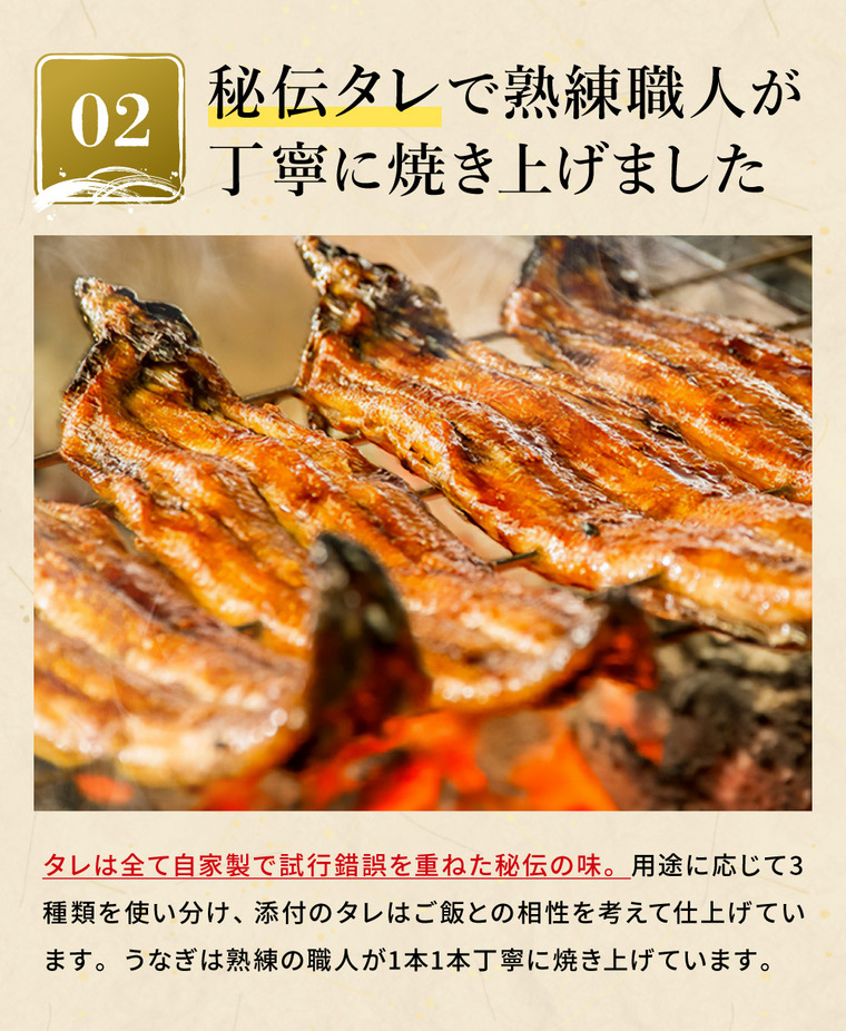 酒類 選べるビールとうなぎ セット ゾウのマイ2本 家飲みセット ミニ 飲み比べ うなぎ屋かわすい のし包装メッセージカード不可 お酒 chotto BAR WAGAYA JGS 送料無料