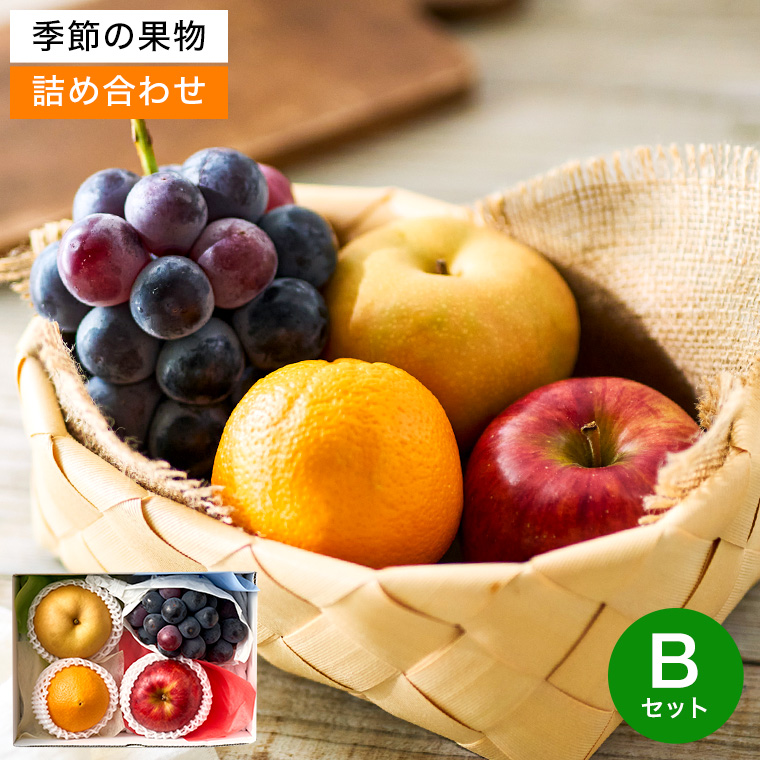 フルーツ ギフト 盛り合わせ 季節の果実アソート B