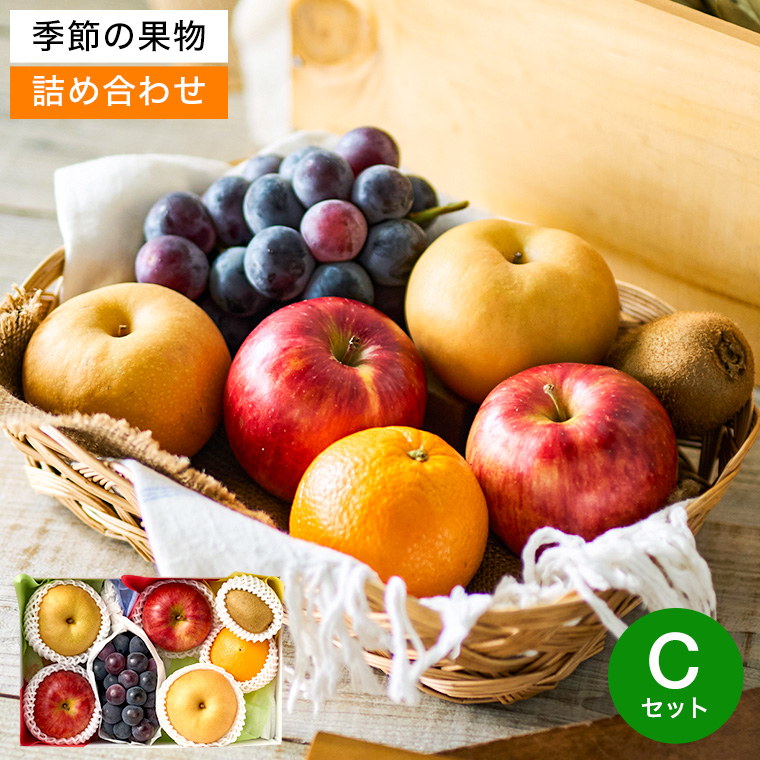 フルーツ ギフト 盛り合わせ 季節の果実アソート C