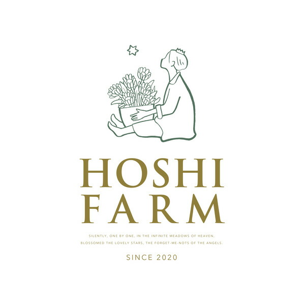 ホシファーム ミニアレンジメントスイート＆二ナスオリジナルシークレットガーデンティータイム3個 送料無料 メーカー直送 のし・包装紙・メッセージカード不可