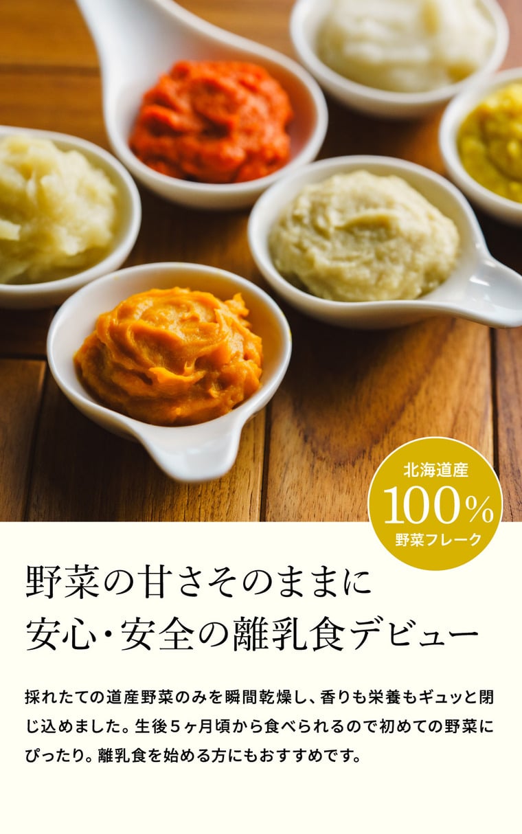 Disney ディズニー Baby Potage 北海道産無添加ベビーフード Disneyデザインのギフトボックス入り クラフト袋(80g) 6個セット