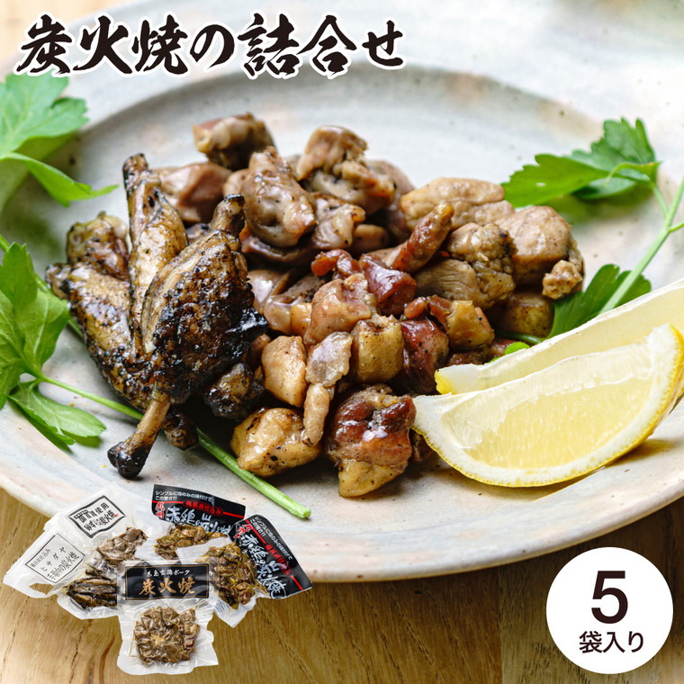 ヒサダヤ 炭火焼の詰合せ HST-5 メーカー直送 送料無料 冷蔵便