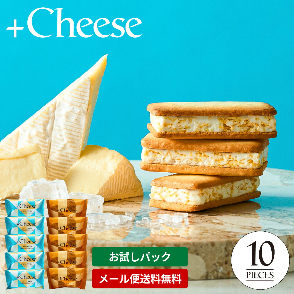 お試し 送料無料 ”焼いて美味 サクっとリッチなチーズスイーツ” +Cheese プラスチーズ メール便