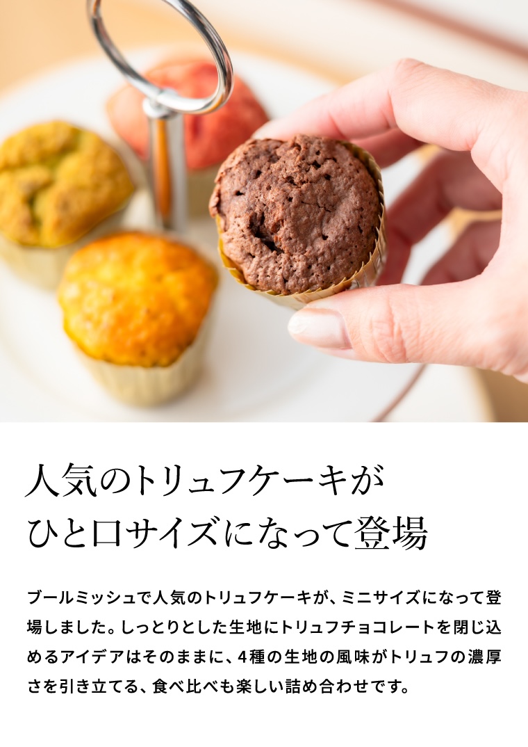 ブールミッシュ BOULMICH ミニトリュフケーキ 4個入 MTF-A / スイーツ 個包装 洋菓子 焼菓子 写真入り メッセージカード無料 gws