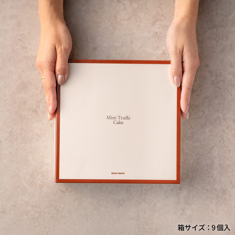 ブールミッシュ BOULMICH ミニトリュフケーキ 9個入 MTF-B / スイーツ 個包装 洋菓子 焼菓子 写真入り メッセージカード無料 gws