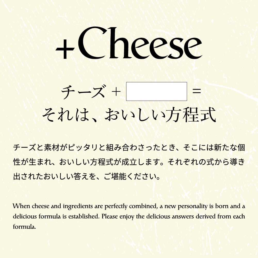 プラスチーズ +Cheese 14個（包装済、のしは外のし）